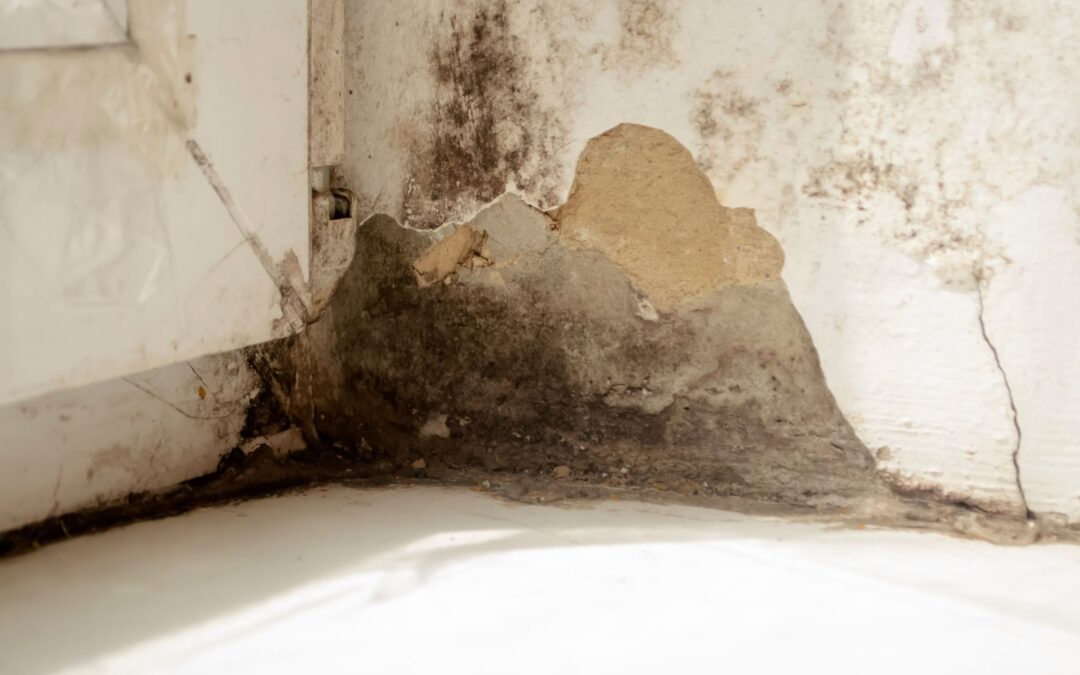 La recherche sur les remontées capillaires dans une maison
