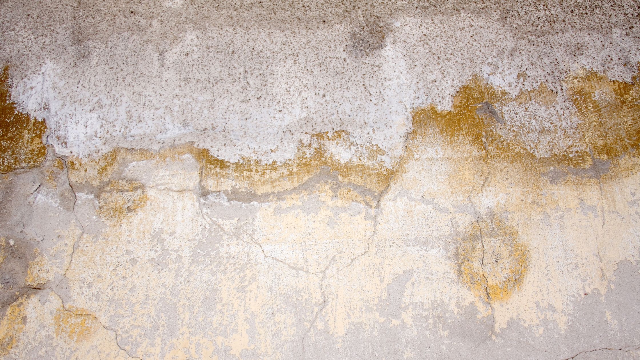 Expert Humidité Nantes