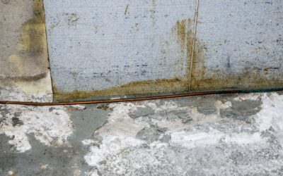 Sous-sols habitables : comment gérer l’humidité avant d’aménager
