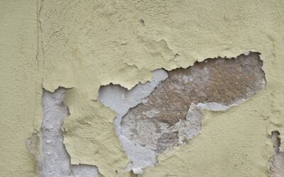 Assurance et humidité : ce qui est pris en charge (ou non) après sinistre