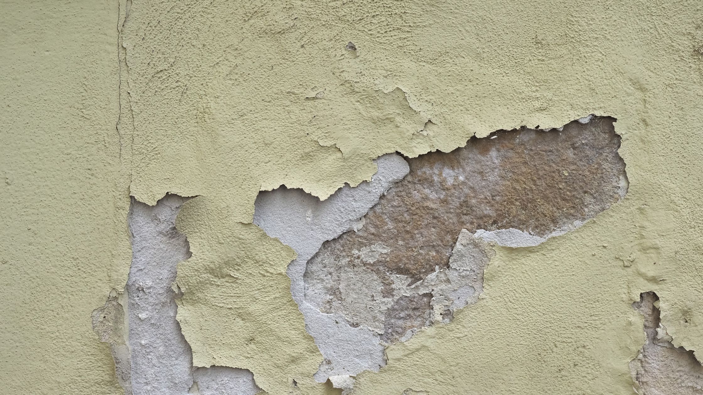 remontées capillaires assurance - murs peinture qui cloque