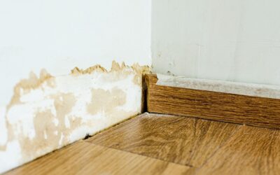 Impact des remontées capillaires sur les meubles et les textiles : causes, conséquences et solutions