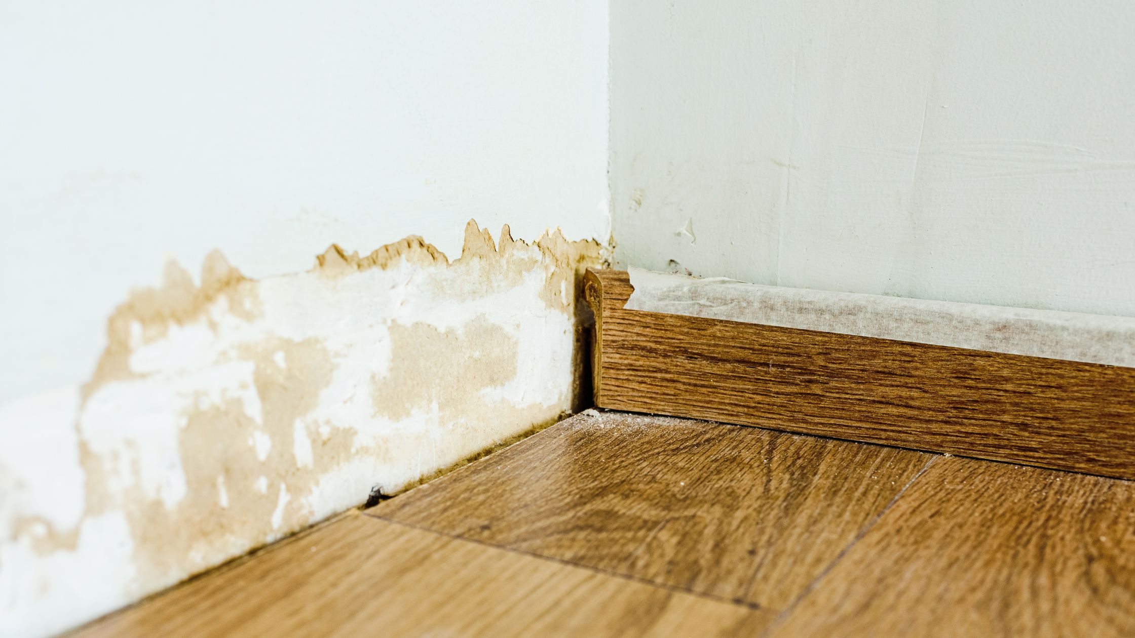 Remontées capillaires et meubles : comment protéger ses biens ?