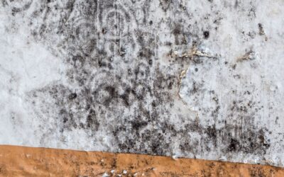 Humidité et allergies : quels liens, quels symptômes dans la maison ?