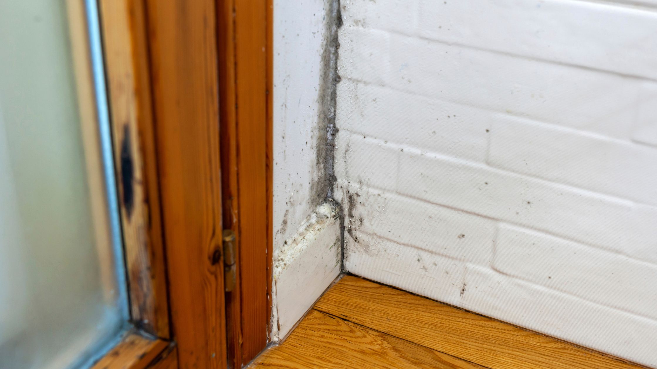 humidité dans la maison – moisissures humidité dans la maison