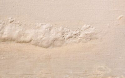 L’humidité fait-elle baisser la valeur d’un bien immobilier ?